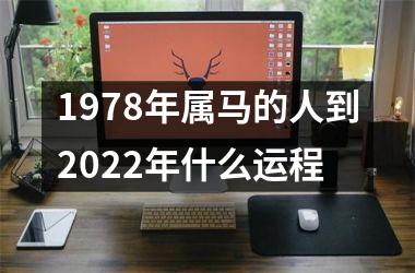 1978年属马的人到2025年什么运程