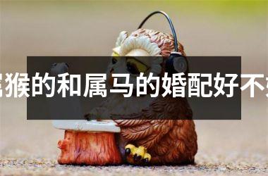 <h3>属猴的和属马的婚配好不好