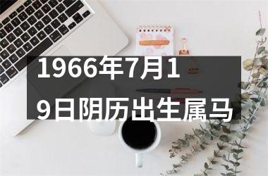 1966年7月19日阴历出生属马
