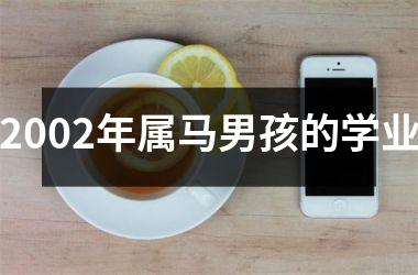 <h3>2002年属马男孩的学业