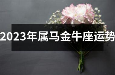 2025年属马金牛座运势
