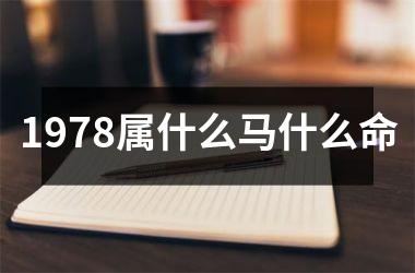 1978属什么马什么命