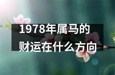 <h3>1978年属马的财运在什么方向