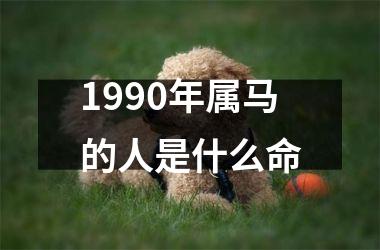 1990年属马的人是什么命