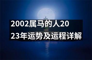 <h3>2002属马的人2025年运势及运程详解
