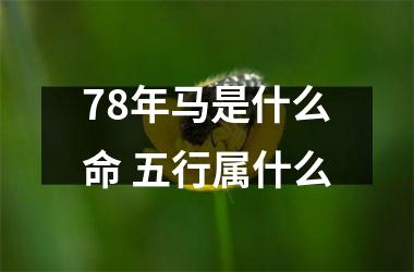 78年马是什么命 五行属什么