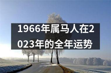 1966年属马人在2025年的全年运势