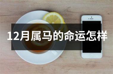 12月属马的命运怎样