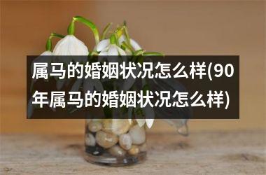 属马的婚姻状况怎么样(90年属马的婚姻状况怎么样)
