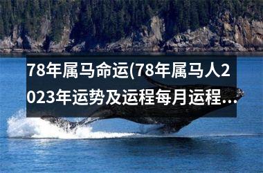 78年属马命运(78年属马人2023年运势及运程每月运程)