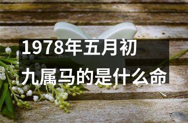 1978年五月初九属马的是什么命