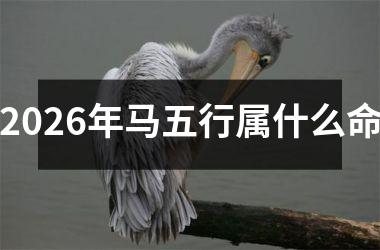 2026年马五行属什么命