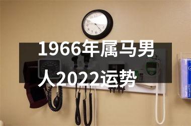 1966年属马男人2022运势