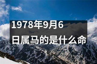 1978年9月6日属马的是什么命