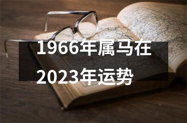 1966年属马在2023年运势