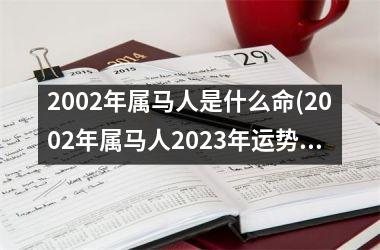 2002年属马人是什么命(2002年属马人2025年运势)