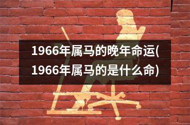 1966年属马的晚年命运(1966年属马的是什么命)