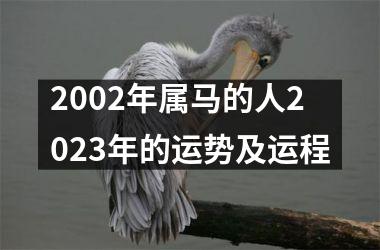 2002年属马的人2023年的运势及运程