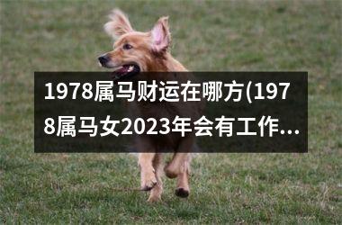 1978属马财运在哪方(1978属马女2023年会有工作调动吗)