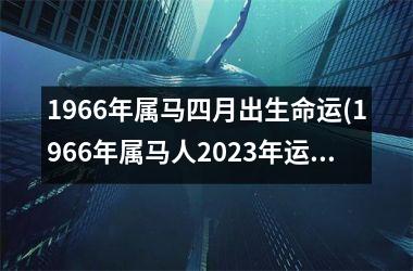 1966年属马四月出生命运(1966年属马人2025年运势男性)