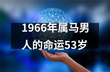 1966年属马男人的命运53岁