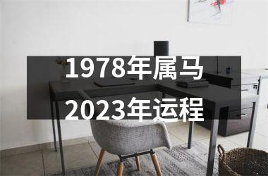 1978年属马2023年运程