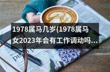 1978属马几岁(1978属马女2025年会有工作调动吗)