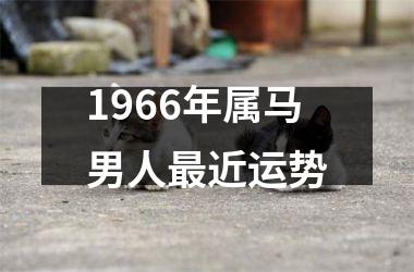 1966年属马男人最近运势