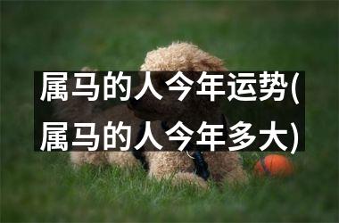 属马的人今年运势(属马的人今年多大)