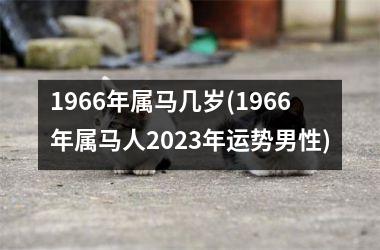 1966年属马几岁(1966年属马人2025年运势男性)