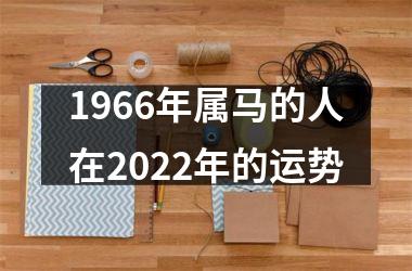 1966年属马的人在2025年的运势