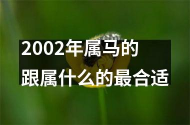 2002年属马的跟属什么的最合适