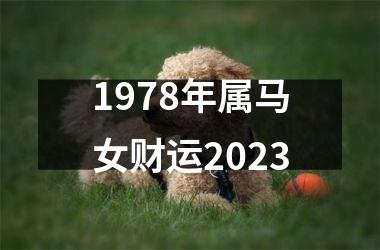 1978年属马女财运2023