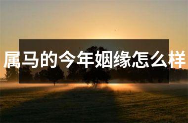 属马的今年姻缘怎么样