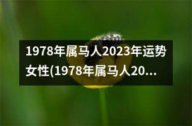 1978年属马人2023年运势女性(1978年属马人2023年运势运程)