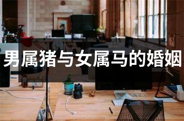 男属猪与女属马的婚姻