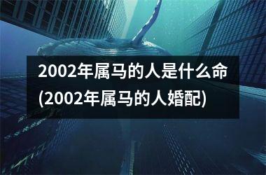 2002年属马的人是什么命(2002年属马的人婚配)