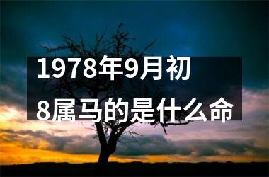 1978年9月初8属马的是什么命