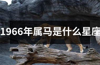1966年属马是什么星座
