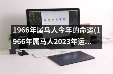 1966年属马人今年的命运(1966年属马人2025年运势男性)
