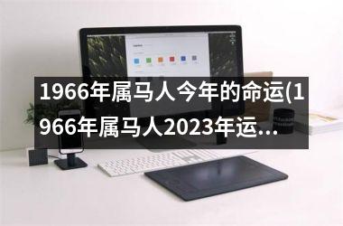 1966年属马人今年的命运(1966年属马人2023年运势男性)