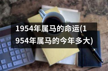<h3>1954年属马的命运(1954年属马的今年多大)
