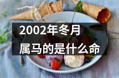 2002年冬月属马的是什么命