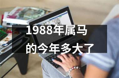 1988年属马的今年多大了