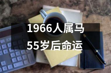 1966人属马55岁后命运