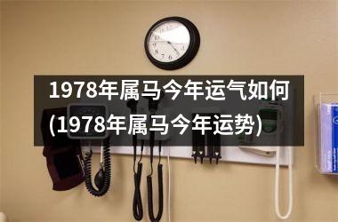 1978年属马今年运气如何(1978年属马今年运势)