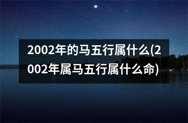 2002年的马五行属什么(2002年属马五行属什么命)