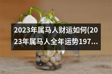 2025年属马人财运如何(2025年属马人全年运势1978)