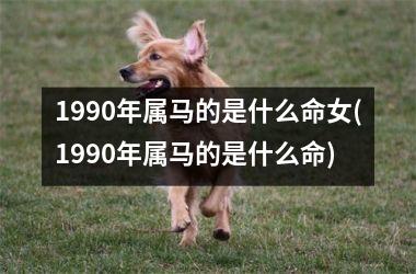 1990年属马的是什么命女(1990年属马的是什么命)