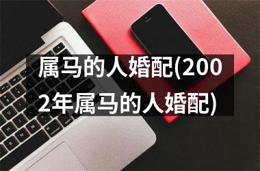 属马的人婚配(2002年属马的人婚配)
